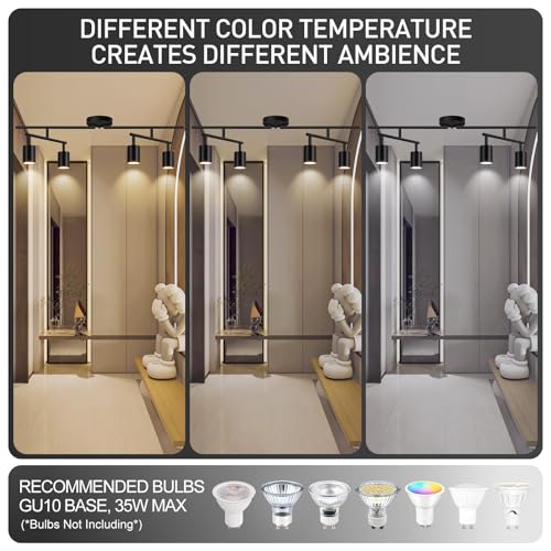 Black Track Lighting Kit (Black / 30" 4 Light Track Light)