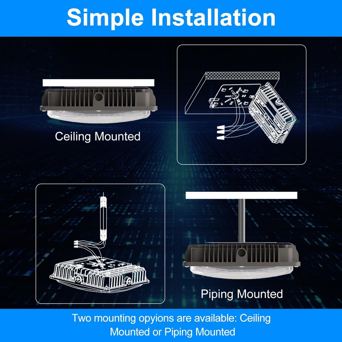 LED Canopy Light 60W (60W)