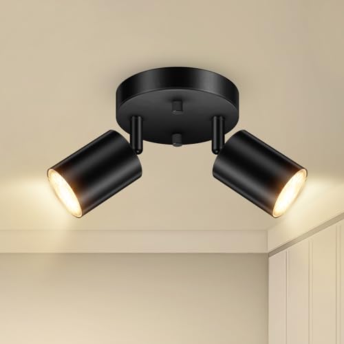 LED 2 Light Track Lighting Kit (2 Light-Black)