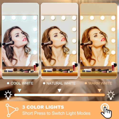 Vanity Mirror with Lights (Wood Grain / 23"L x 18"W)