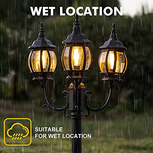 Outdoor Lamp Post Light