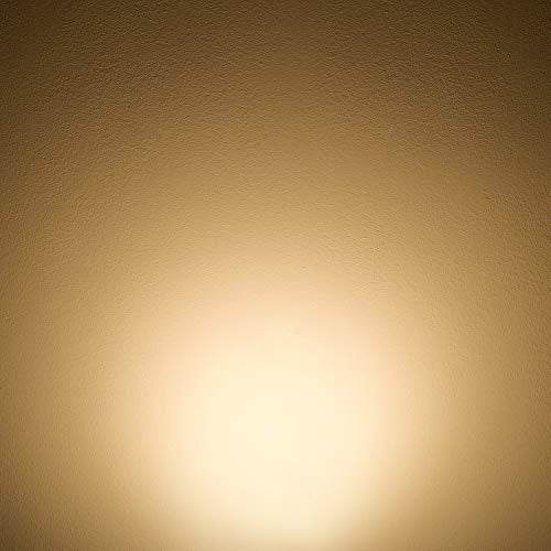Vintage LED Bulbs