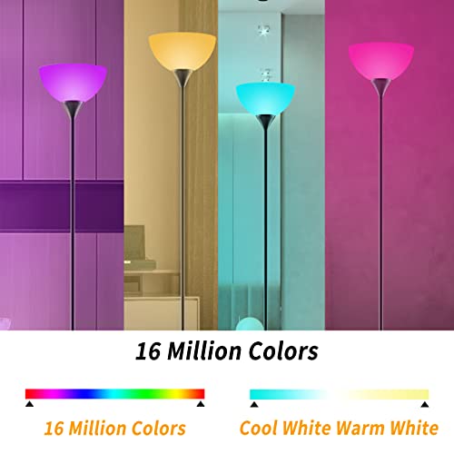 RGB Floor Lamp (Matte Black RGB)