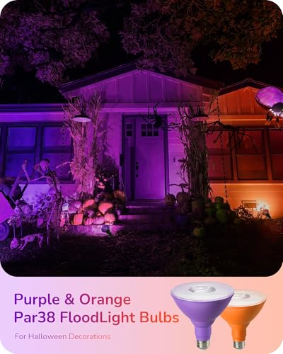 Halloween PAR38 LED Flood Purple&Orange Light Bulbs Dimmable 4Pack (Purple & Orange)