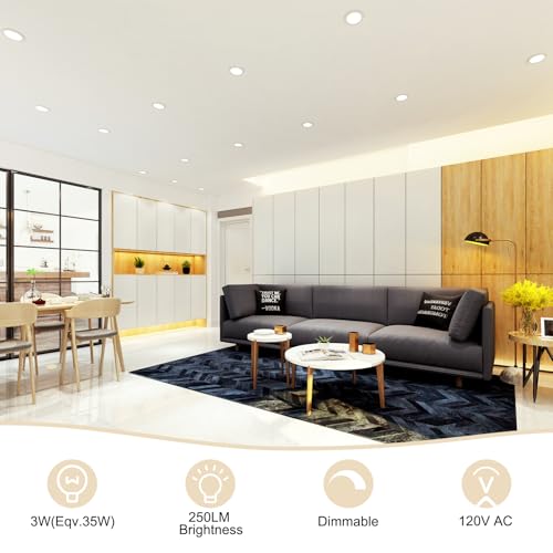 2 Inch LED Recessed Lighting (4000k (Natural White) / 24 Pack (White))