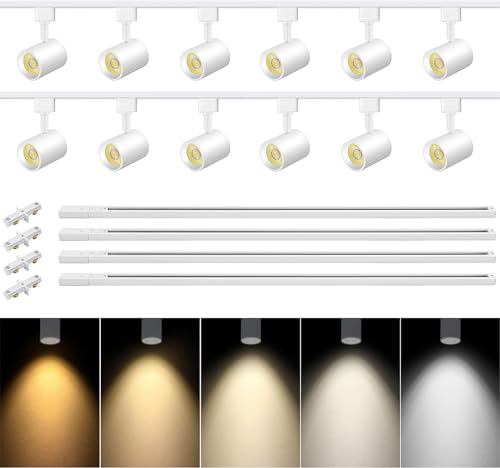 5-Color 12-Light LED Track Lighting Kit with 13FT Rails, 10W White (White / 12 Lights)