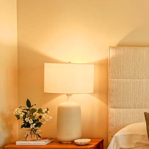 A21 18W LED Light Bulbs