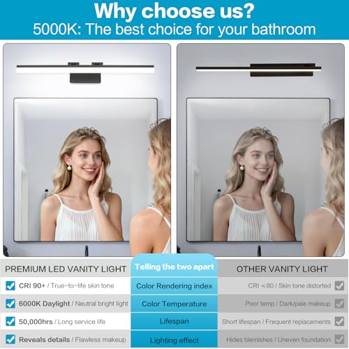 8778 Vanity Light