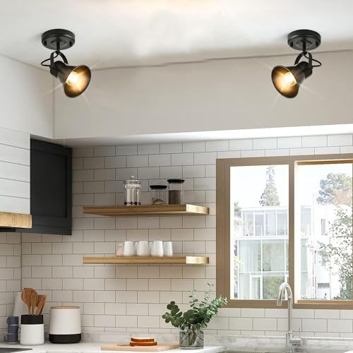 Industrial Mini Track Lighting Ceiling Light (1-Light (2 Pack) / Black)