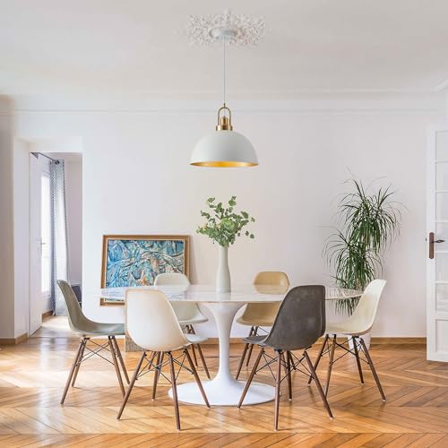 Matte Black Farmhouse Pendant Light