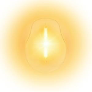 Solar Outdoor Lights