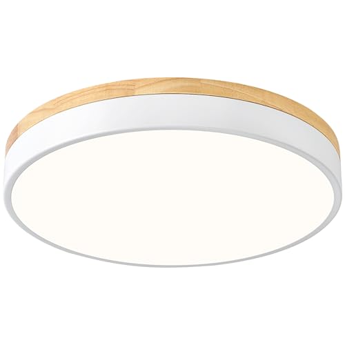 Round LED Flush Mount Ceiling Light