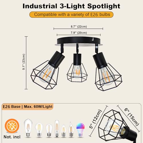 LED Track Lighting Fixtures (3-Light)