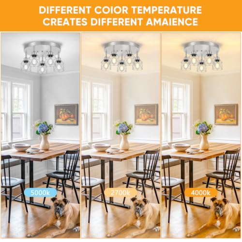 5 Light Kitchen Light Fixtures (Silver / 5-Light)