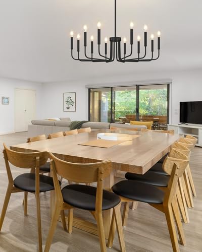 12 Light Black Chandelier (Matte Black / 12-Light)