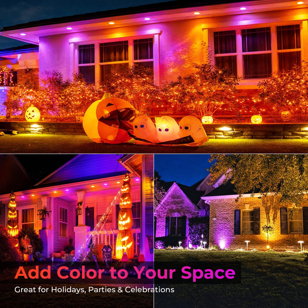 PAR38 Purple and Orange Light Bulb (Purple+orange / 2 Pack)