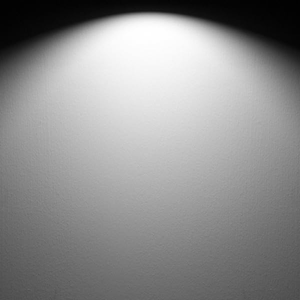 25 Watt Light Bulbs