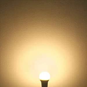 100079 LED Light Bulbs 60 Watt Equivalent A19 E26 Standard Medium Base