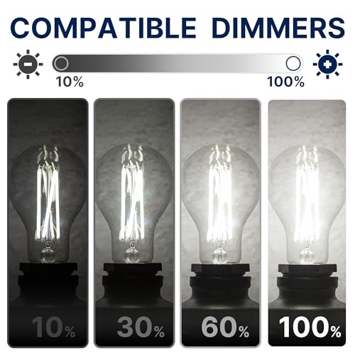 100W Eqv Dimmable A21 LED Bulbs (100w 5000k Daylight / 4 Count (Pack of 1))
