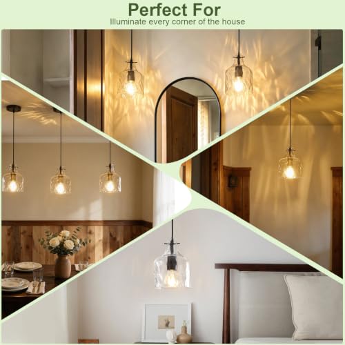 Black Hammered Clear Glass Pendant Light (Black-1Pack)
