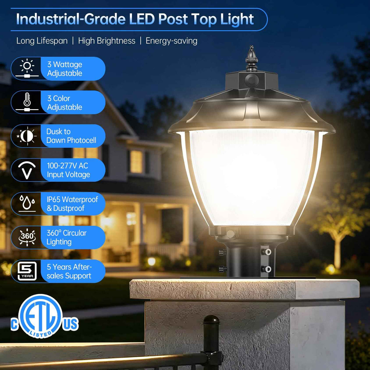 2Pack LED Post Top Light 60W (12.6 Inch)