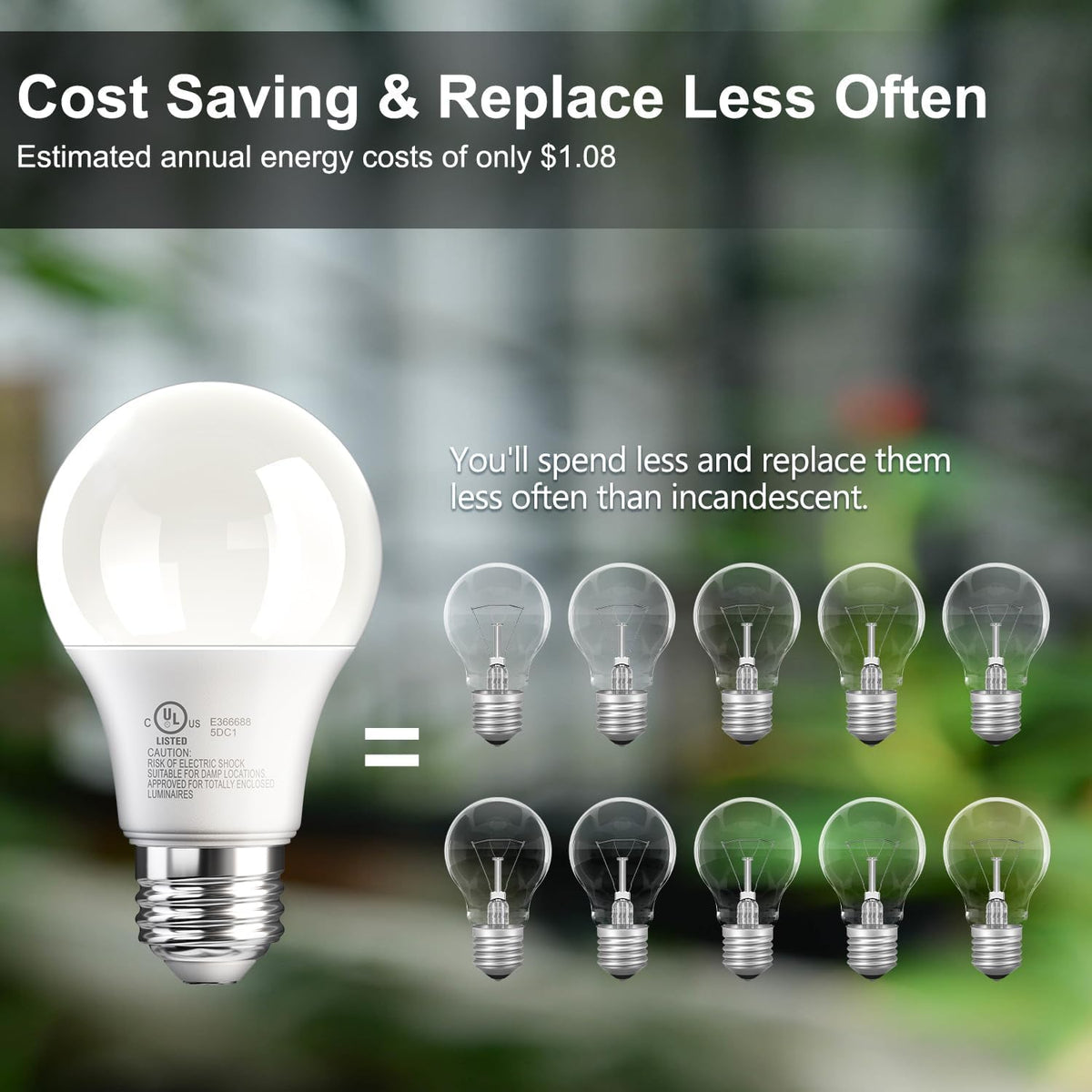 A19 LED Light Bulb (2700k Soft White / 3 Pack)