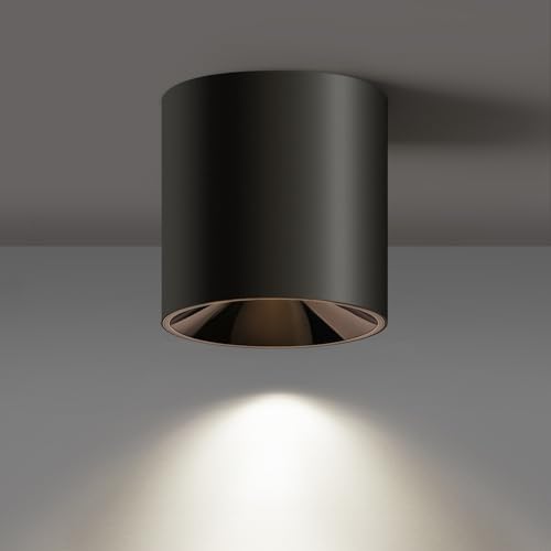 Modern LED Ceiling Light Fixture Flush Mount COB 20W 4000K Cylinder Ceiling Lights