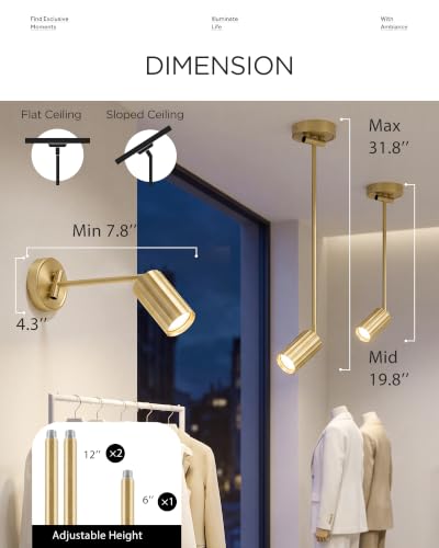 LED Track Lighting Fixtures (Sunflower, Brushed Gold / 31.8", 1-light)