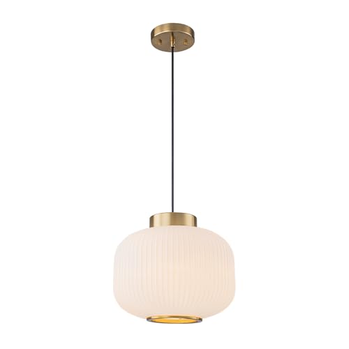EDSILIVE Glass Pendant Light