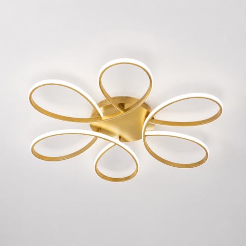 26inch Modern LED Ceiling Light