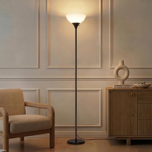 Sky Dome Dimmable LED Floor Lamp (Jet Black)