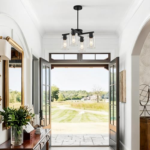 4 Light Black Farmhouse Chandelier (Black / 4-Lights/D18 '')
