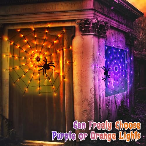 Halloween Decorations (purple/orange lights)