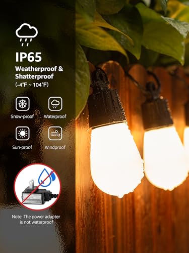 ZB1 AI Smart Outdoor String Lights (100 FT)