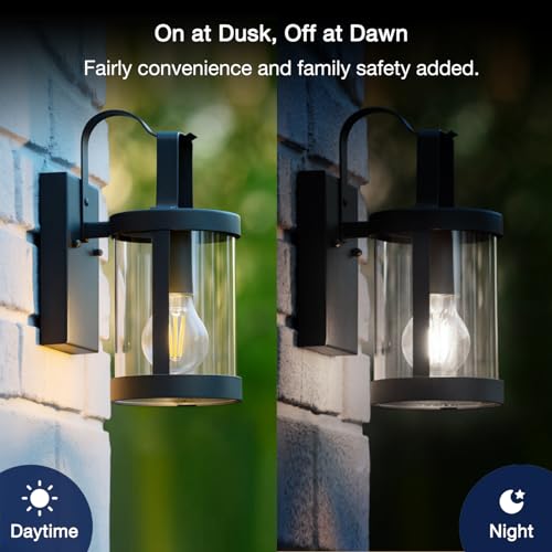 Dusk to Dawn Outdoor Sensor A19 LED Light Bulb (60w Daylight / 4 Count (Pack of 1))
