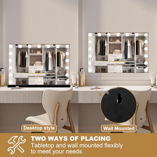 Vanity Mirror with Lights (Black / 28"L x 20"W)