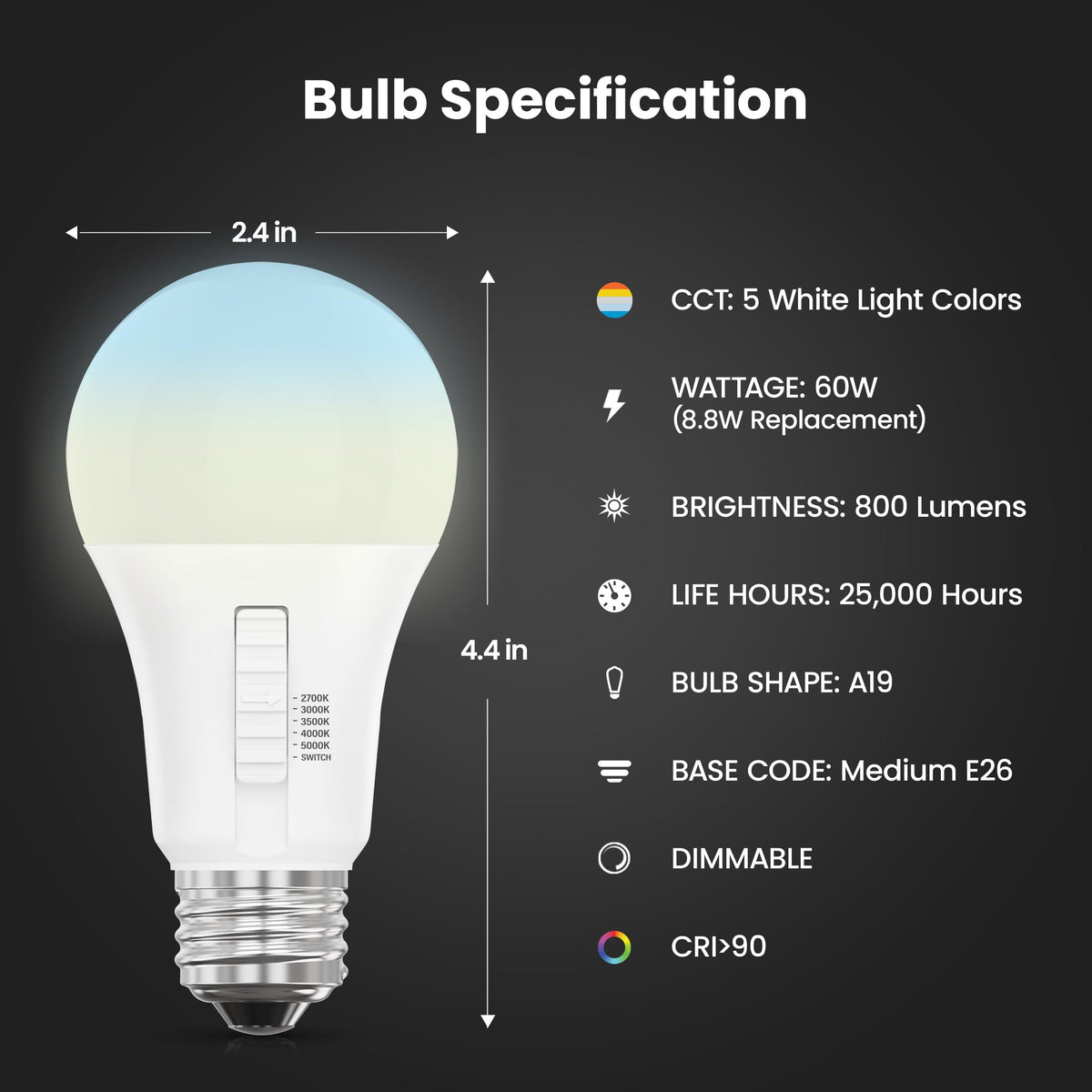 LED Light Bulbs (A19 - 2 Pack)
