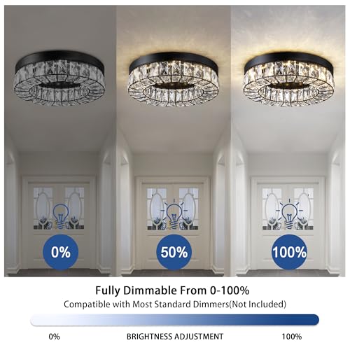 Crystal LED Lighting Fixture