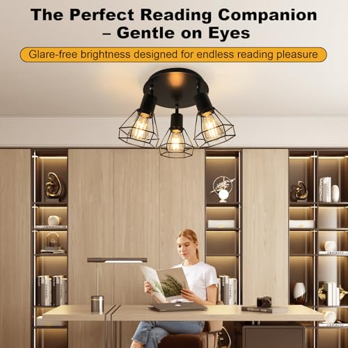 LED Track Lighting Fixtures (3-Light)