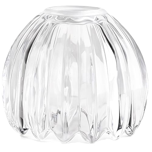 Small Glass Lamp Shades Art Blown Pendant Lamp Shade