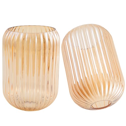 Tulip Lamp Shades Replacement (Amber Cylindrical)