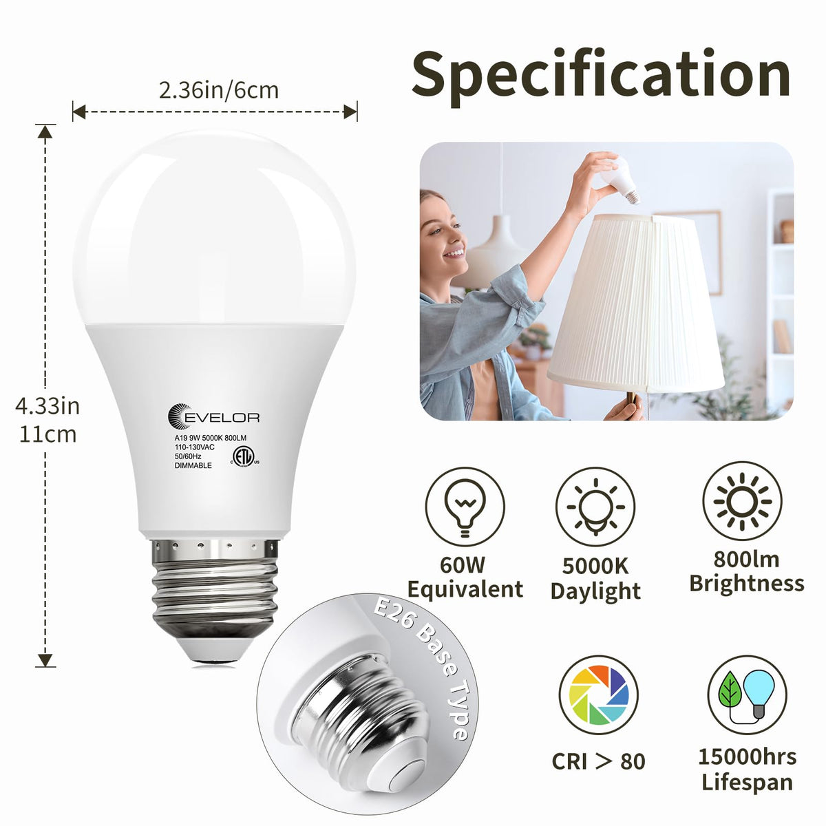 6 Pack LED Light Bulbs (Daylight 5000k / 6 Piece)