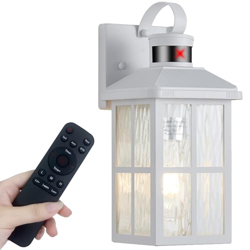 Porch Lights Outdoor with Remote (1 White RW)
