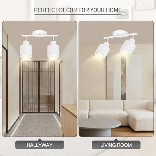 2 Light Led Track Lighting (2 light White)
