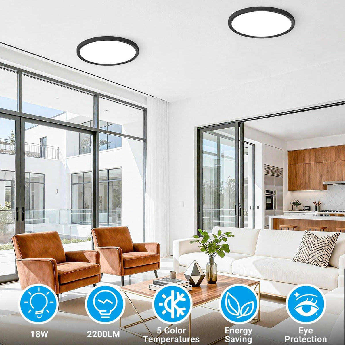 LED Flush Mount Ceiling Light 5 Color Temperatures 9inch 2Pack (Black / 9 Inch-2pack)
