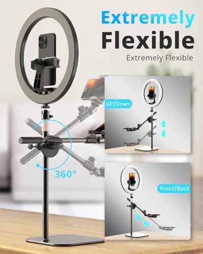 12" Desk Ring Light with Stand and Phone Holder (12in)