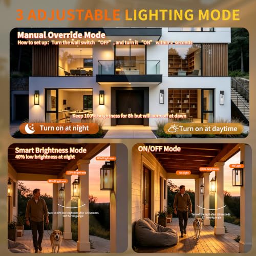 17 Inch Motion Sensor Dawn to Dusk Outdoor Sensor Light Fixture Waterproof Porch Lights Anti (17 Inch)