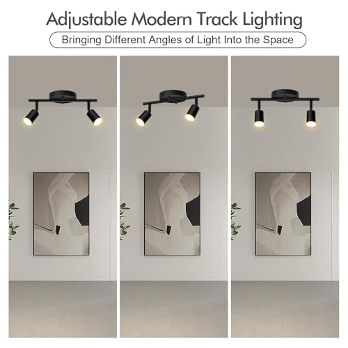 2 Light Track Lighting Fixtures Ceiling (2 light black)