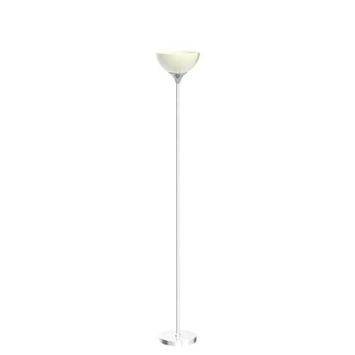 Floor Lamp Remote Control with 4 Color Temperatures (Brushed Nicke)
