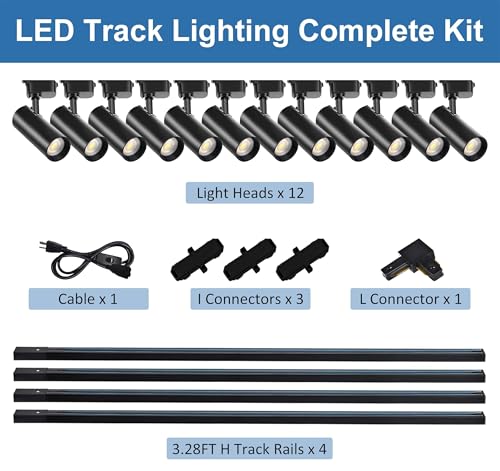 J&L Type LED Track Lighting Kit Dimmable Adjustable Angle Light Heads (Black)